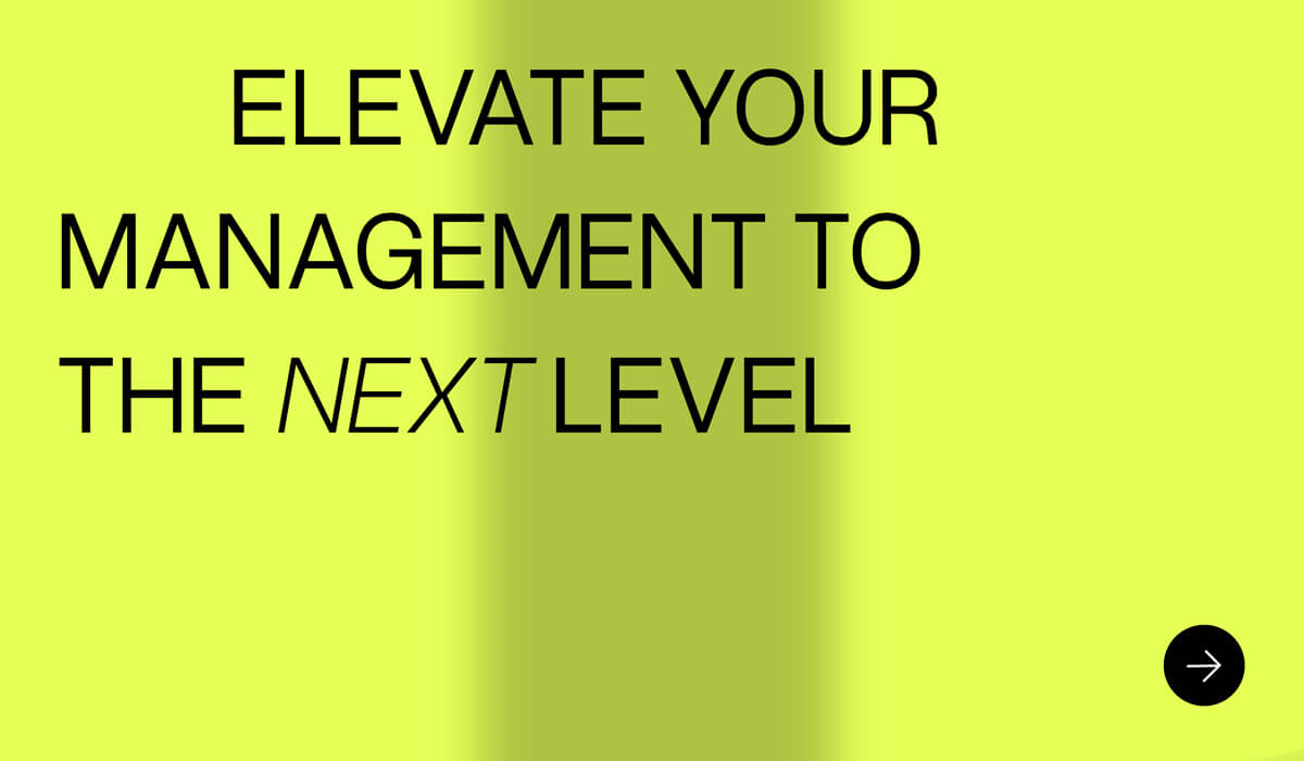 smart-and-sophisticated-management-consulting-slide-2